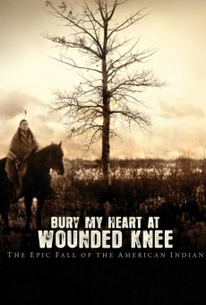 J'ai enterré mon coeur à Wounded Knee