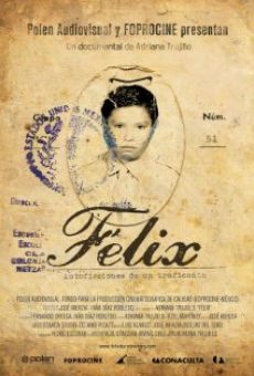 Félix: Autoficciones de un traficante online