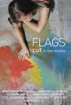 Flags Cut in the Middle online kostenlos