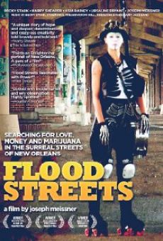 Ver película Flood Streets
