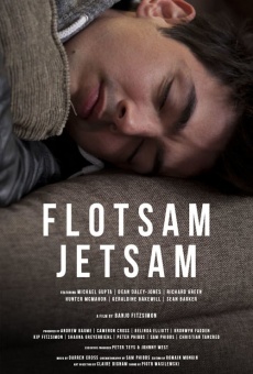 Flotsam Jetsam online