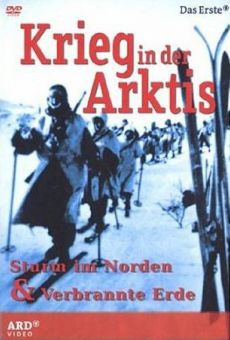 Krieg in der Arktis - Sturm im Norden (War in the Arctic) online