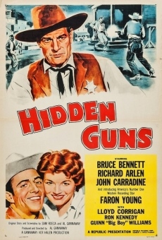 Hidden Guns online