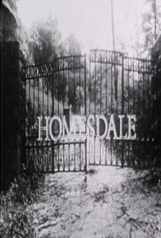 Homesdale online