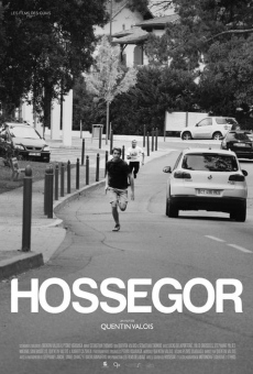 Hossegor en ligne gratuit