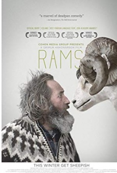 Rams - Storia di due fratelli e otto pecore online