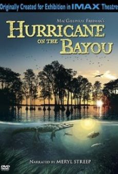 Hurricane on the Bayou en ligne gratuit