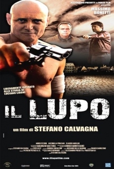 Il Lupo online