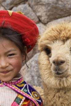 Inca Cusco online kostenlos