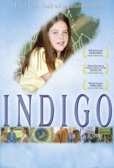 Indigo online