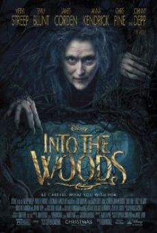 Into the Woods: Promenons-nous dans les bois en ligne gratuit