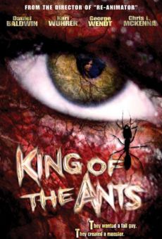 King of the Ants online