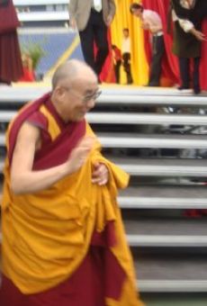Kommt ein Gott auf Besuch... Der Dalai Lama in Frankfurt online