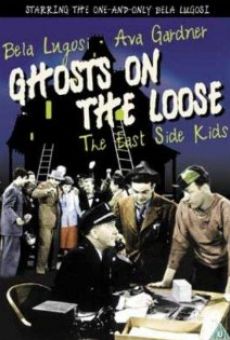 Ghosts on the Loose en ligne gratuit