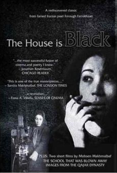 Das Haus ist schwarz
