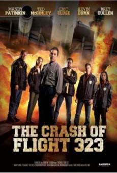 Air Crash - Il volo del mistero online streaming