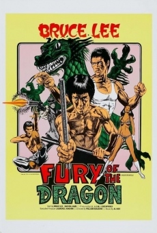 Fury of the Dragon online kostenlos