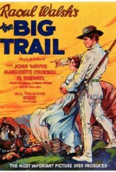 The Big Trail online