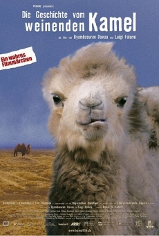 Ingen Numsil - Die Geschichte vom weinenden Kamel gratis
