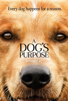 A Dog's Purpose online free