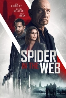 Spider in the Web online