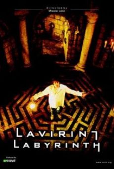 Labyrinth - Dove tutto è possibile online