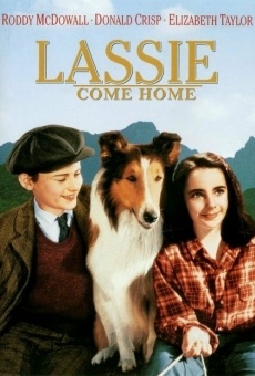 Lassie Come Home online free
