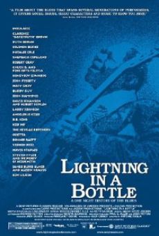 Ver película Lightning In A Bottle