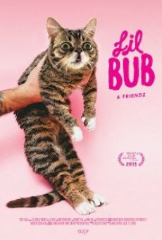 Lil Bub & Friendz online free