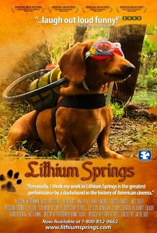 Lithium Springs stream online deutsch