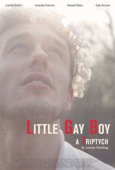 Little Gay Boy on-line gratuito