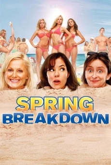 Spring Breakdown online free