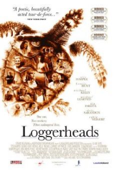Loggerheads online