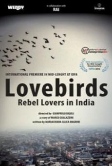 Lovebirds: Rebel Lovers in India online