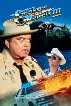 Smokey and the Bandit Part 3 on-line gratuito