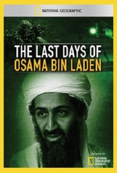 The Last Days of Osama Bin Laden online