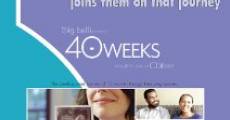Filme completo 40 Weeks
