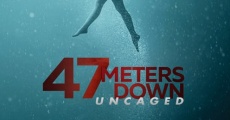 Filme completo 47 Meters Down: Uncaged