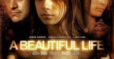 A Beautiful Life film complet