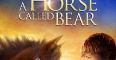 A Horse Called Bear film complet