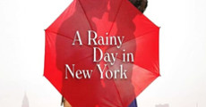Un jour de pluie à New York