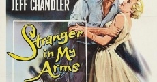 A Stranger in My Arms film complet