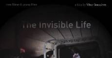 A Vida Invisível streaming