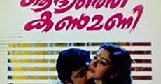Aadyathe Kanmani (1995)