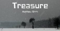 About Hidden Treasure streaming