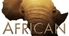 African Safari streaming