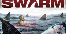 Shark Swarm - Squali all'attacco