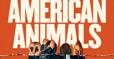 American Animals streaming
