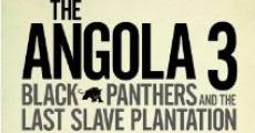 Angola 3: Black Panthers and the Last Slave Plantation