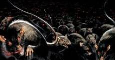 Rats: Notte di terrore film complet